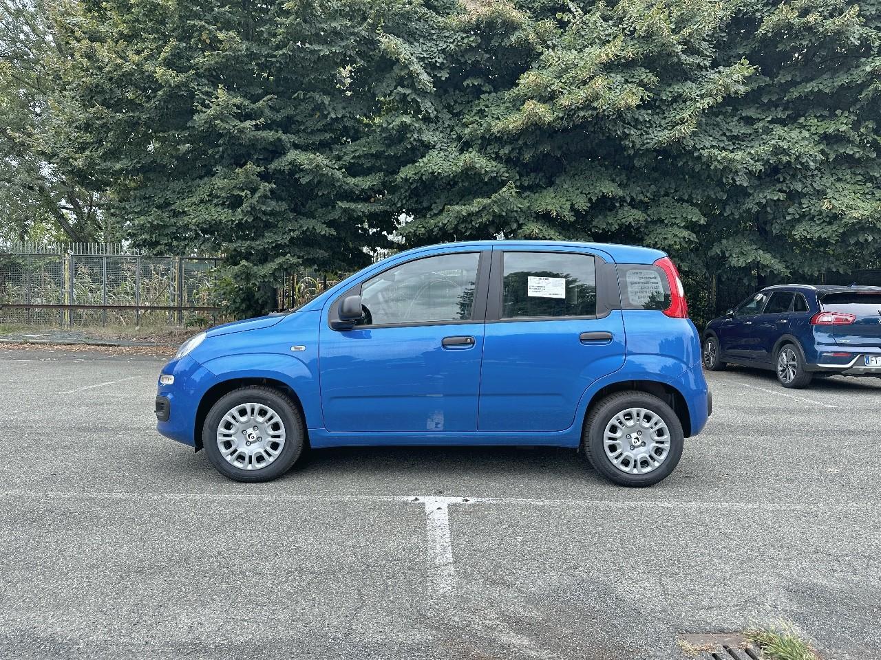 Fiat Fiat Panda usata 11
