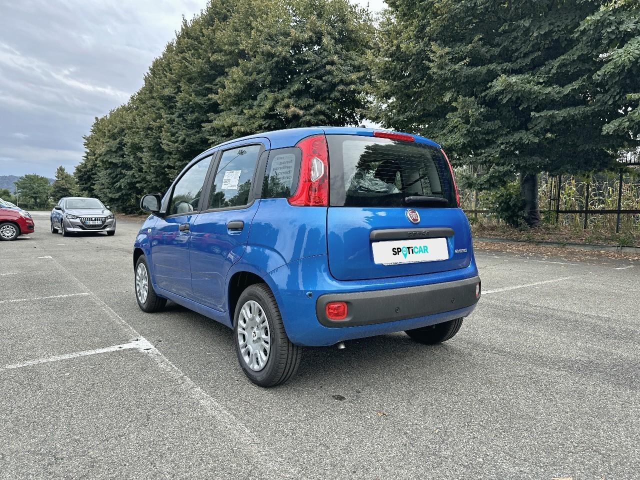 Fiat Fiat Panda usata 13
