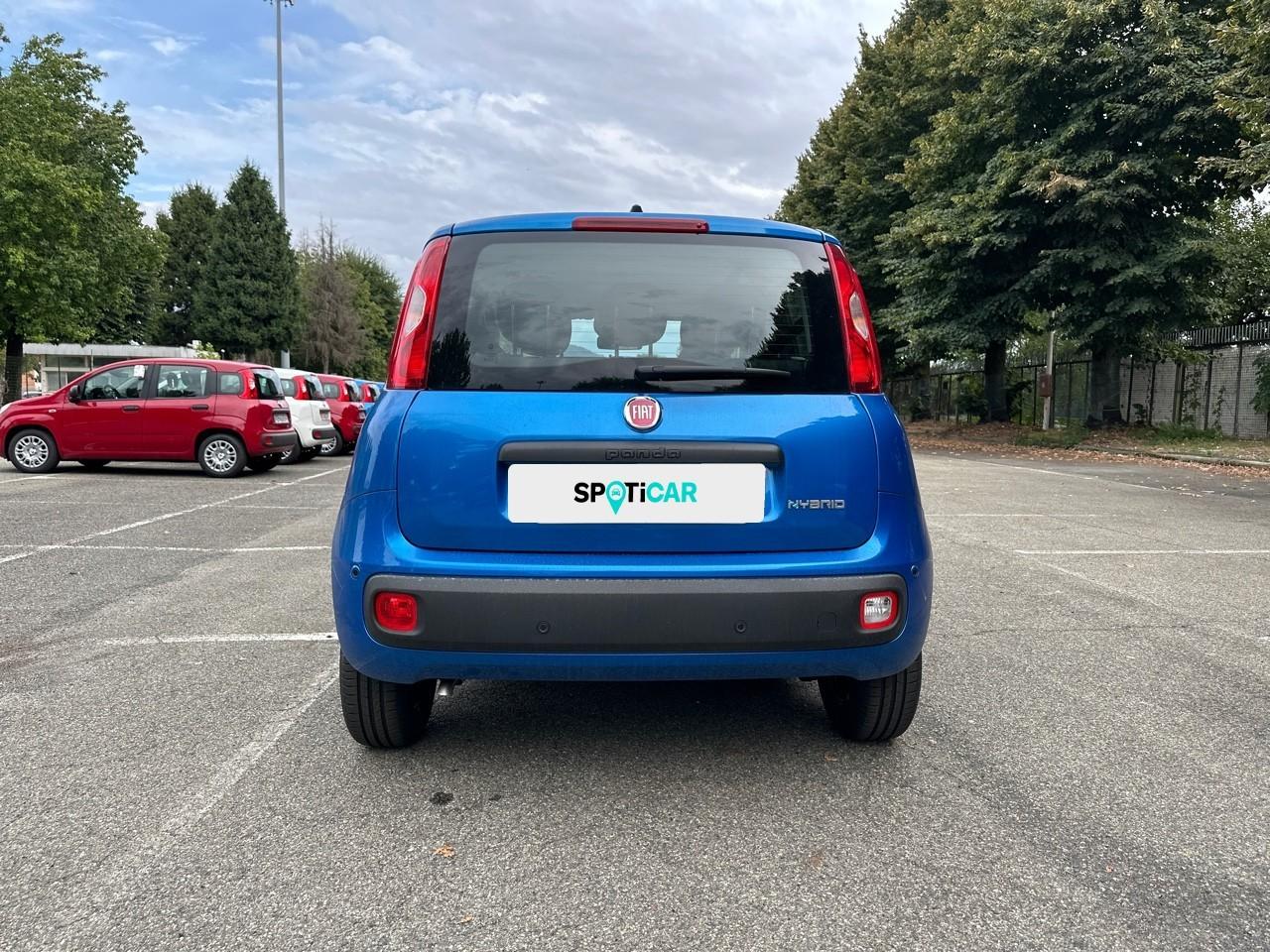Fiat Fiat Panda usata 14