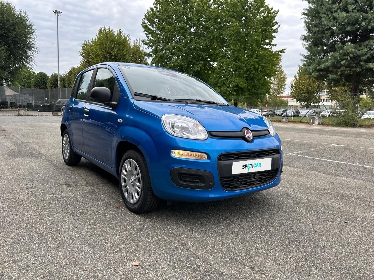 Fiat Fiat Panda usata 15