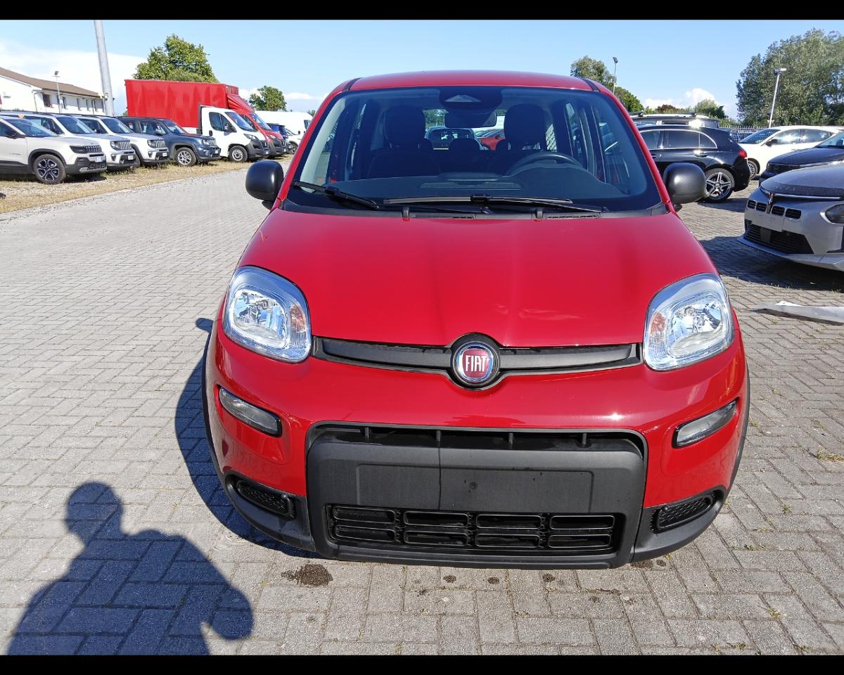 Fiat Fiat Panda usata 8