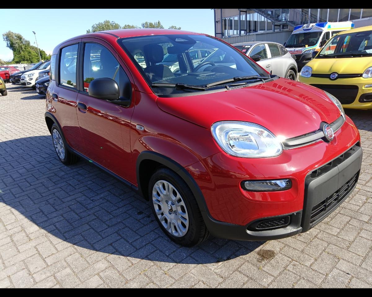 Fiat Fiat Panda usata 10