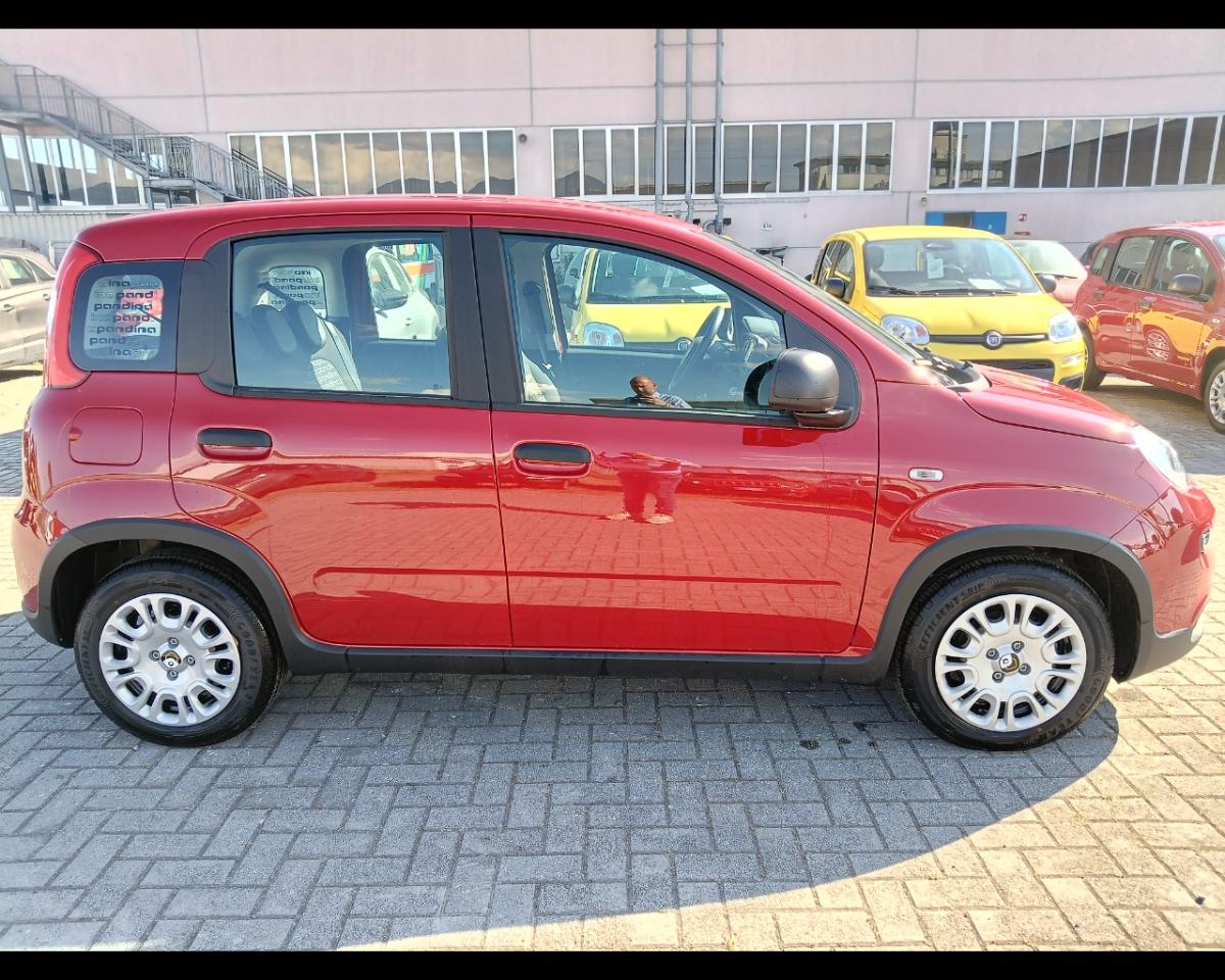 Fiat Fiat Panda usata 11