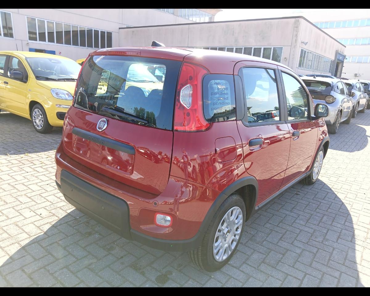 Fiat Fiat Panda usata 13