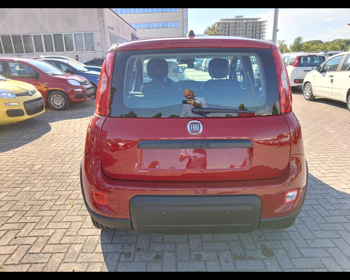 Fiat Fiat Panda usata 14