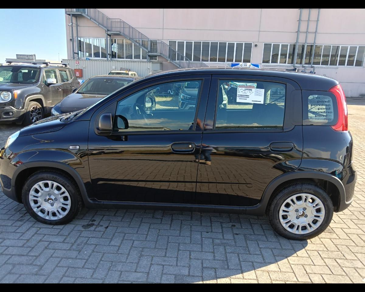 Fiat Fiat Panda usata 1