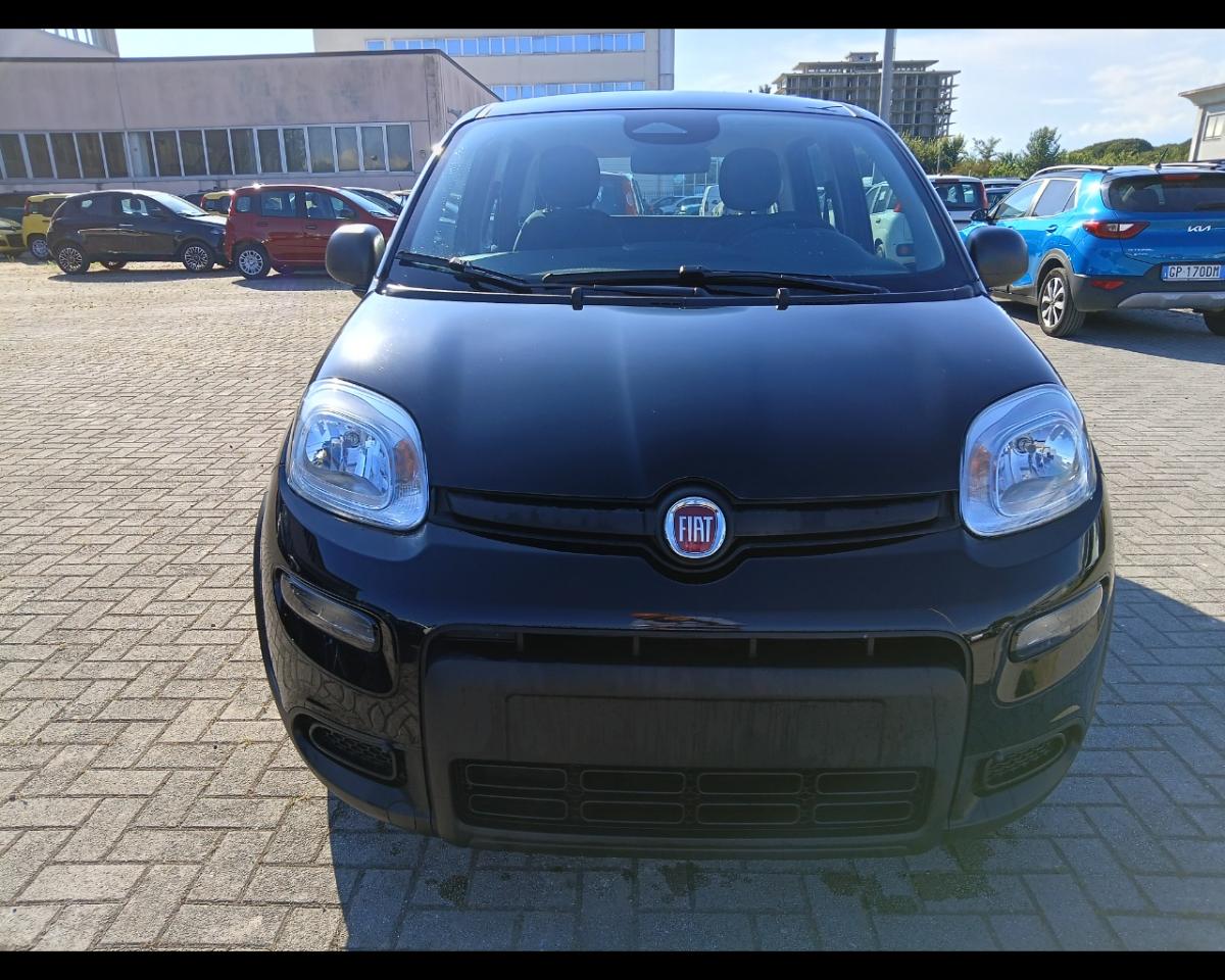 Fiat Fiat Panda usata 9