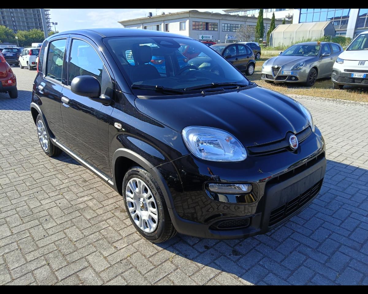 Fiat Fiat Panda usata 10