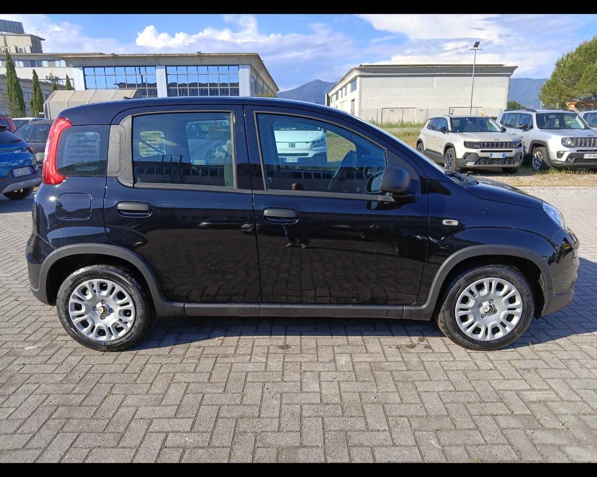 Fiat Fiat Panda usata 11