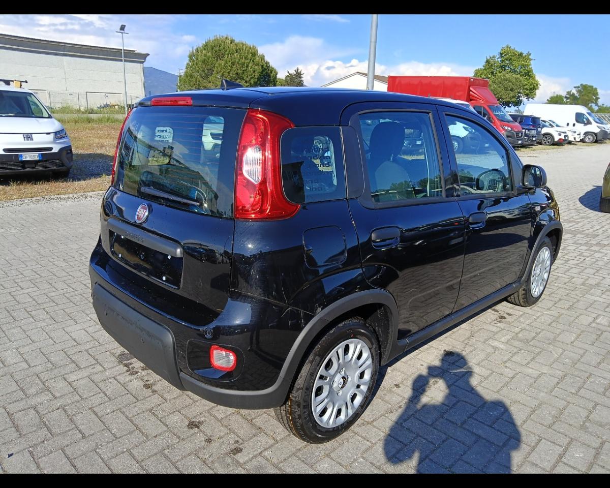 Fiat Fiat Panda usata 12