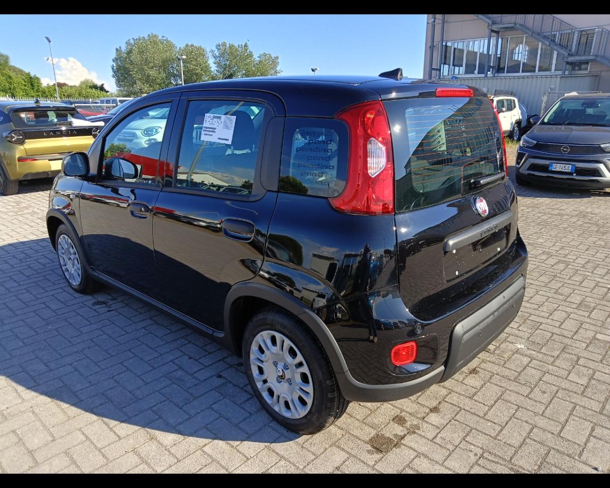 Fiat Fiat Panda usata 15