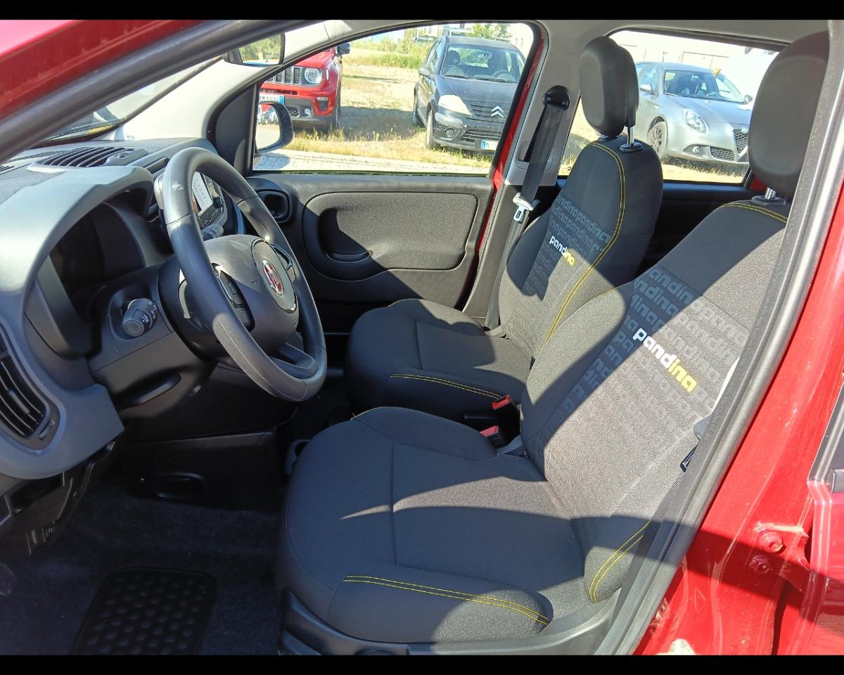 Fiat Fiat Panda usata 4