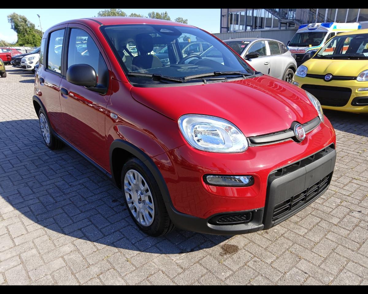 Fiat Fiat Panda usata 8