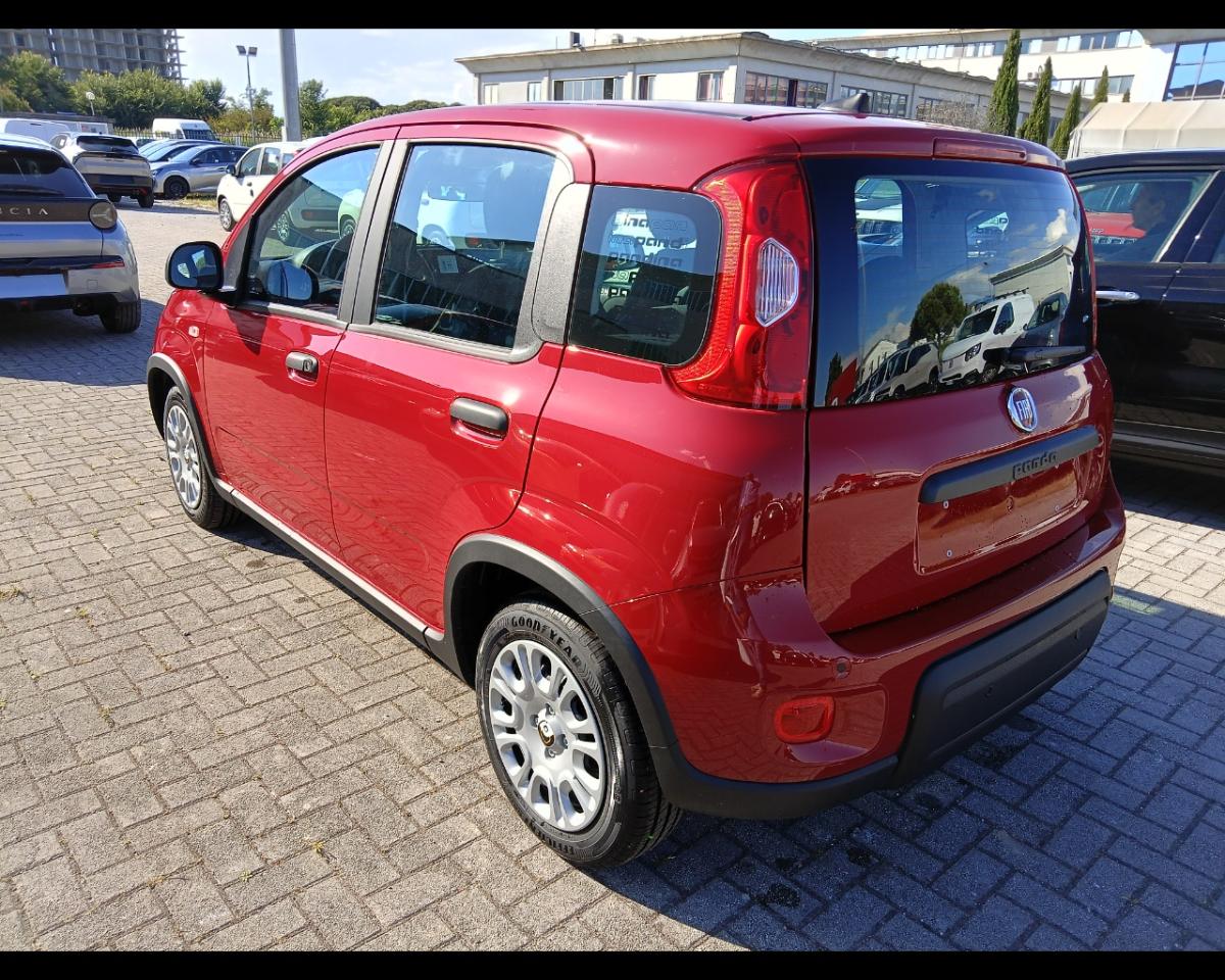 Fiat Fiat Panda usata 13