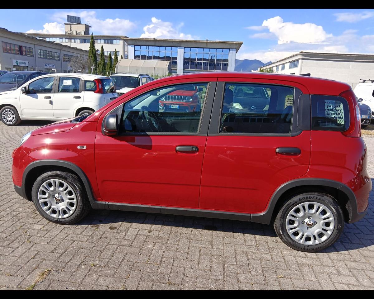 Fiat Fiat Panda usata 14