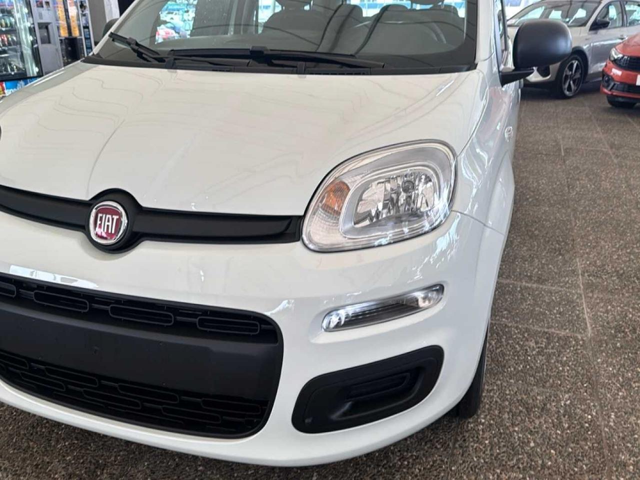 Fiat Fiat Panda usata 16