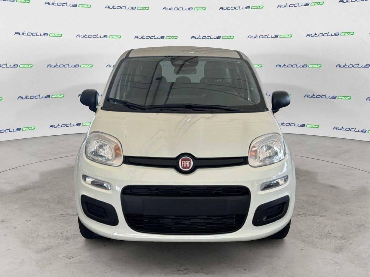 Fiat Fiat Panda usata 11