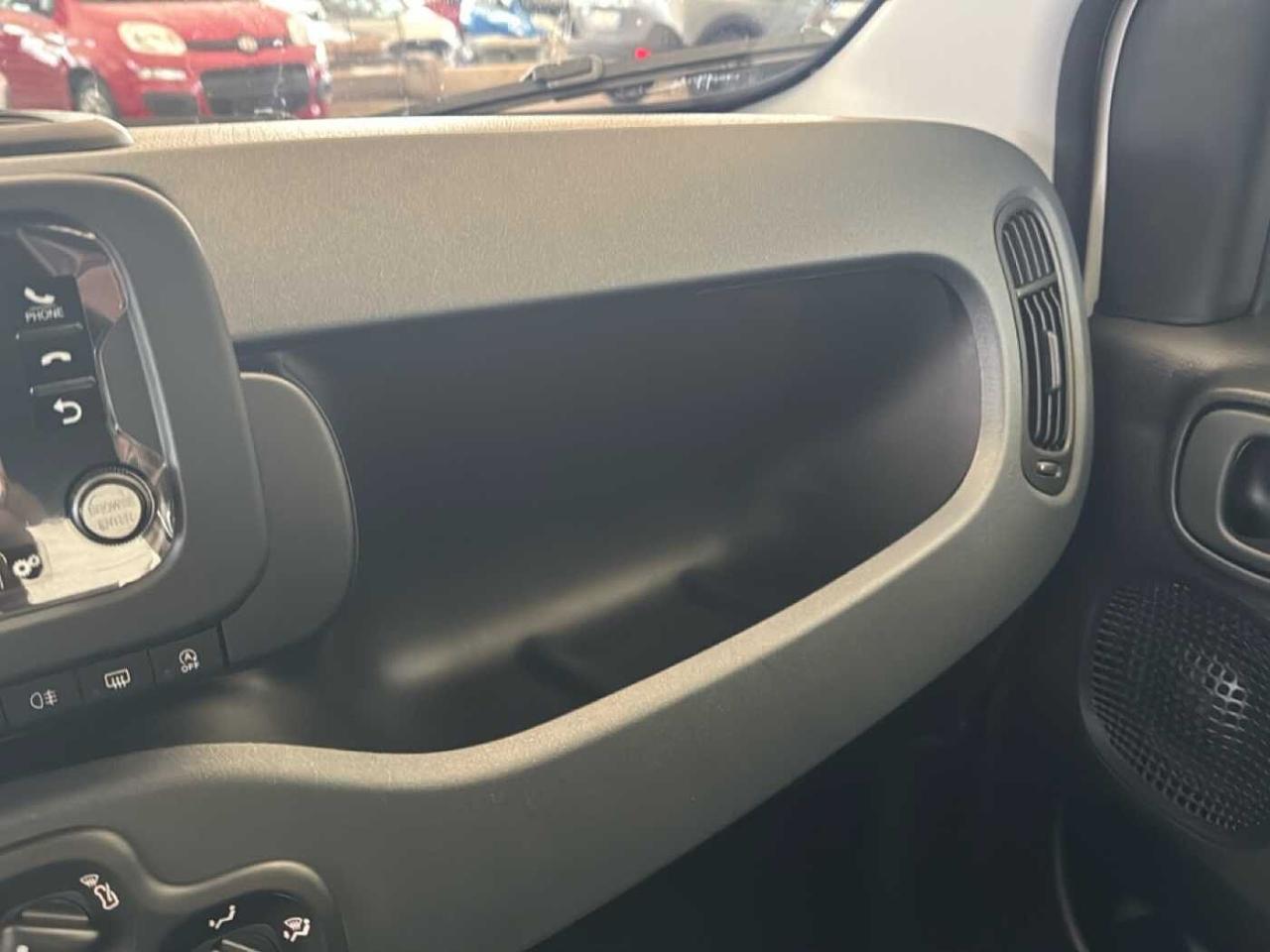 Fiat Fiat Panda usata 10