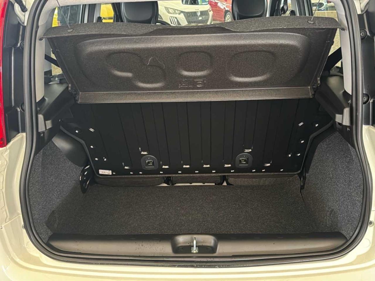 Fiat Fiat Panda usata 14