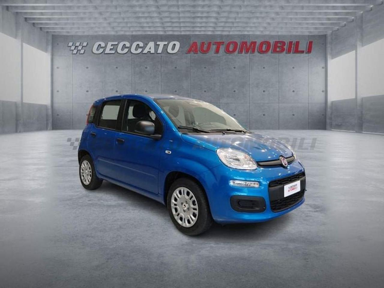 Fiat Fiat Panda usata 7