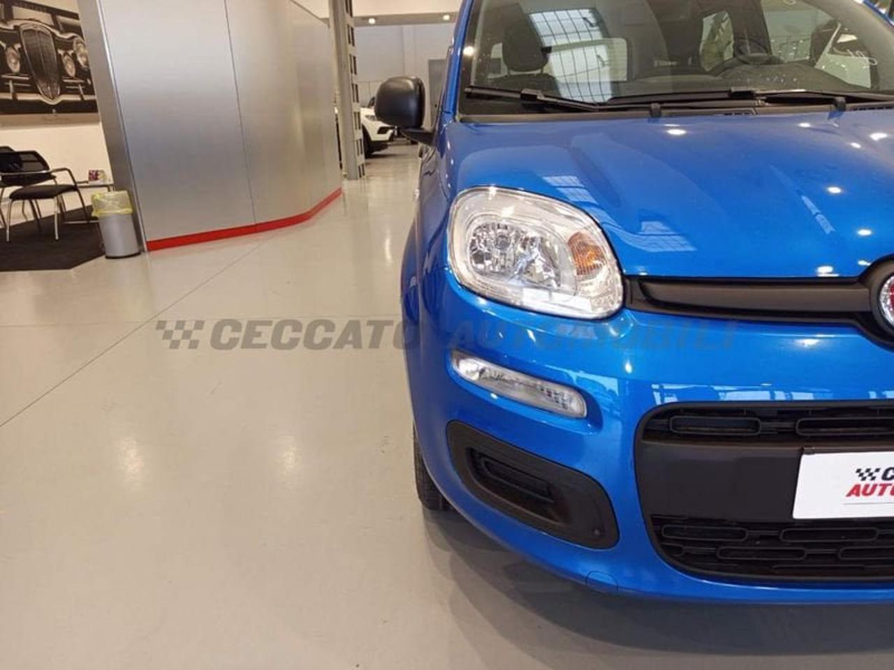 Fiat Fiat Panda usata 9