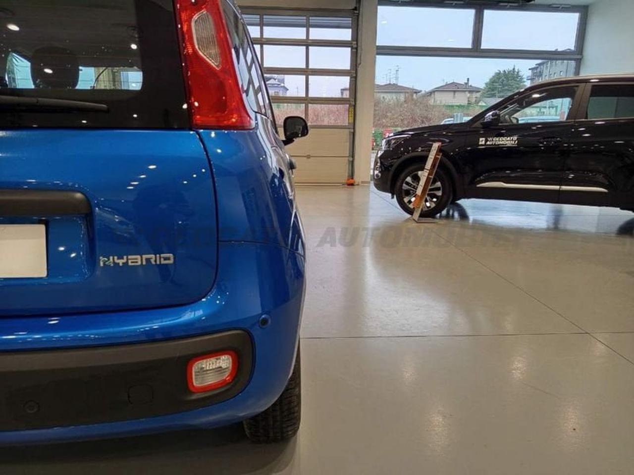 Fiat Fiat Panda usata 10