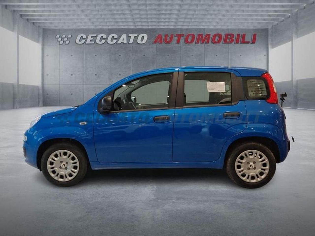 Fiat Fiat Panda usata 11
