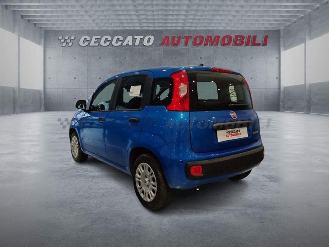 Fiat Fiat Panda usata 16