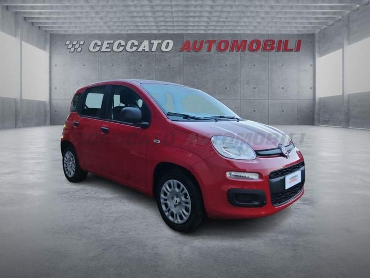 Fiat Fiat Panda usata 7
