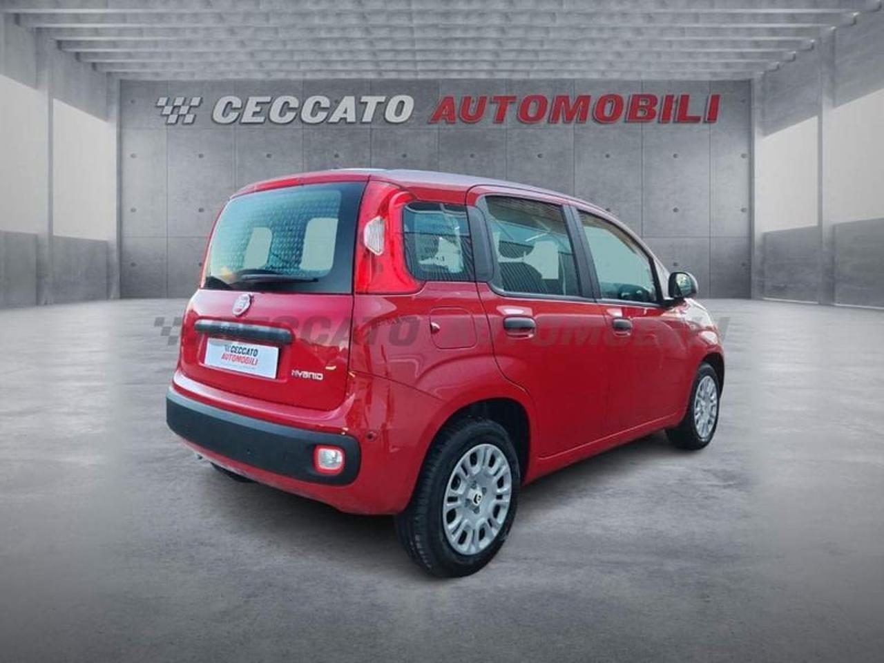 Fiat Fiat Panda usata 8