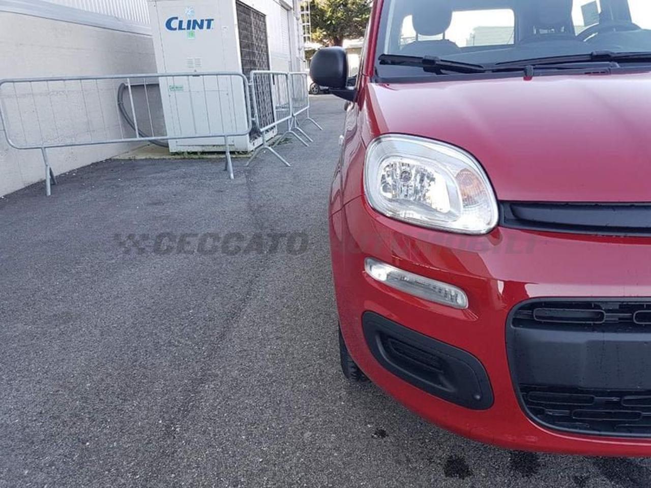 Fiat Fiat Panda usata 9