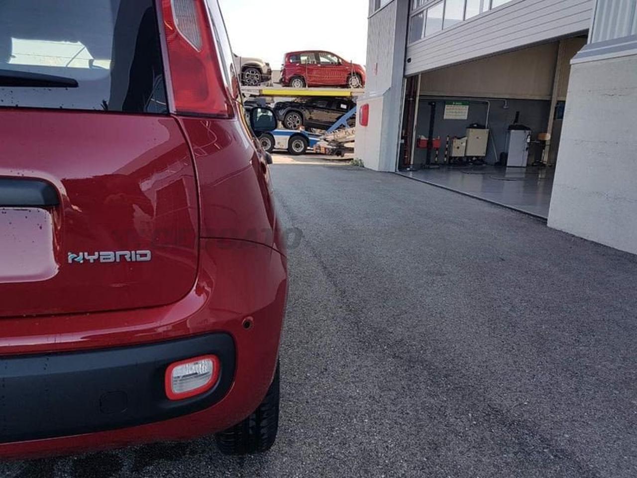 Fiat Fiat Panda usata 10