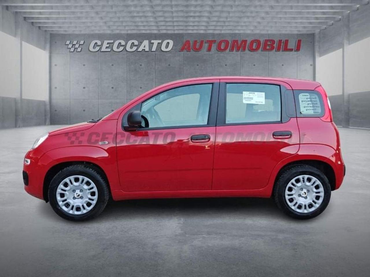 Fiat Fiat Panda usata 11