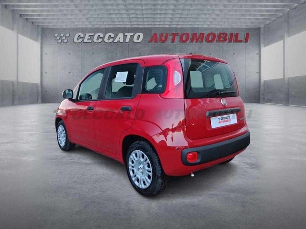 Fiat Fiat Panda usata 16