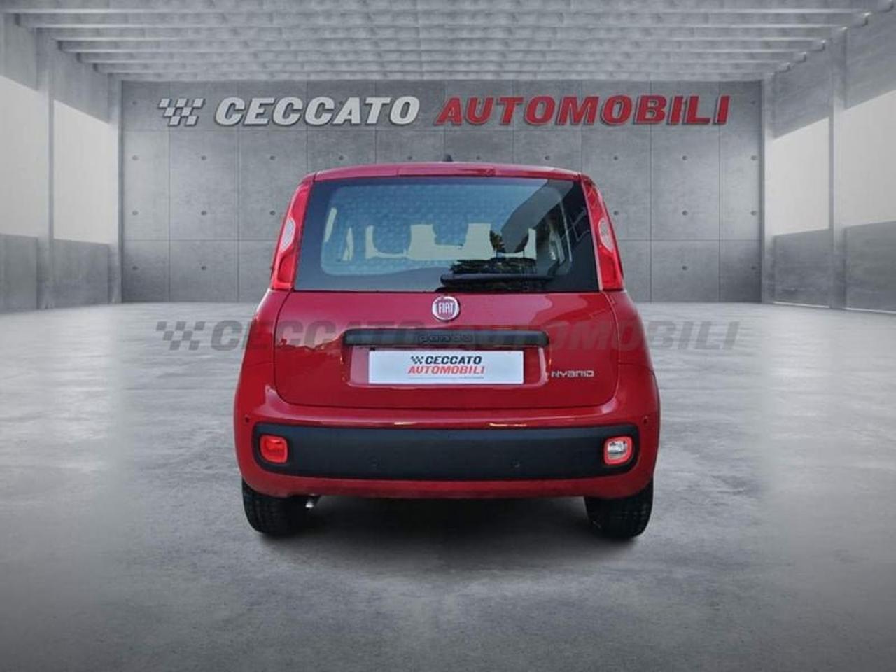 Fiat Fiat Panda usata 18