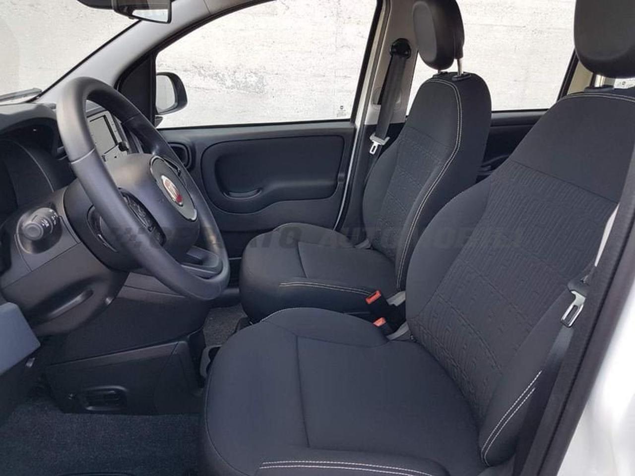 Fiat Fiat Panda usata 3