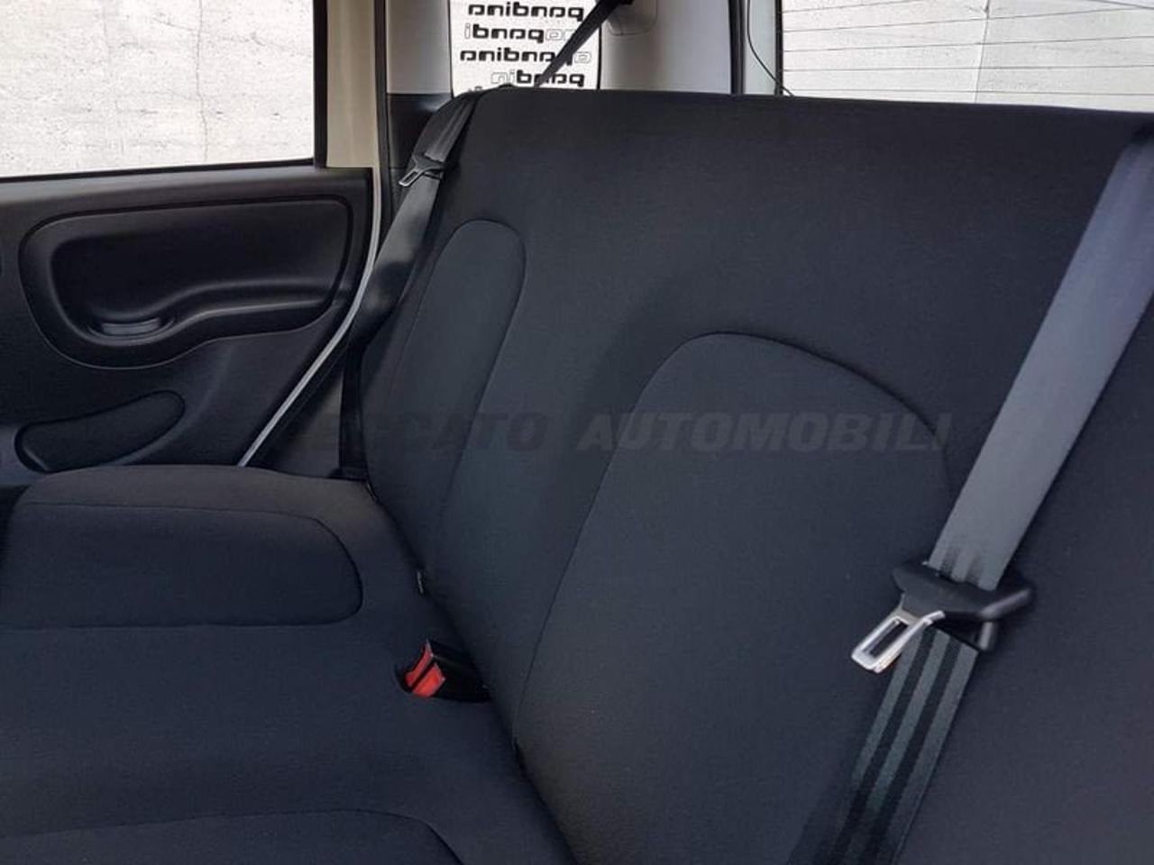 Fiat Fiat Panda usata 5
