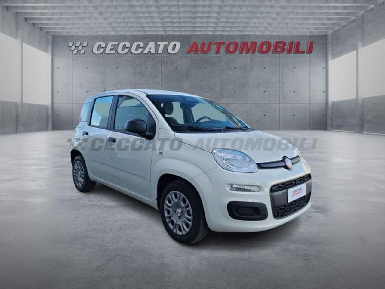Fiat Fiat Panda usata 7