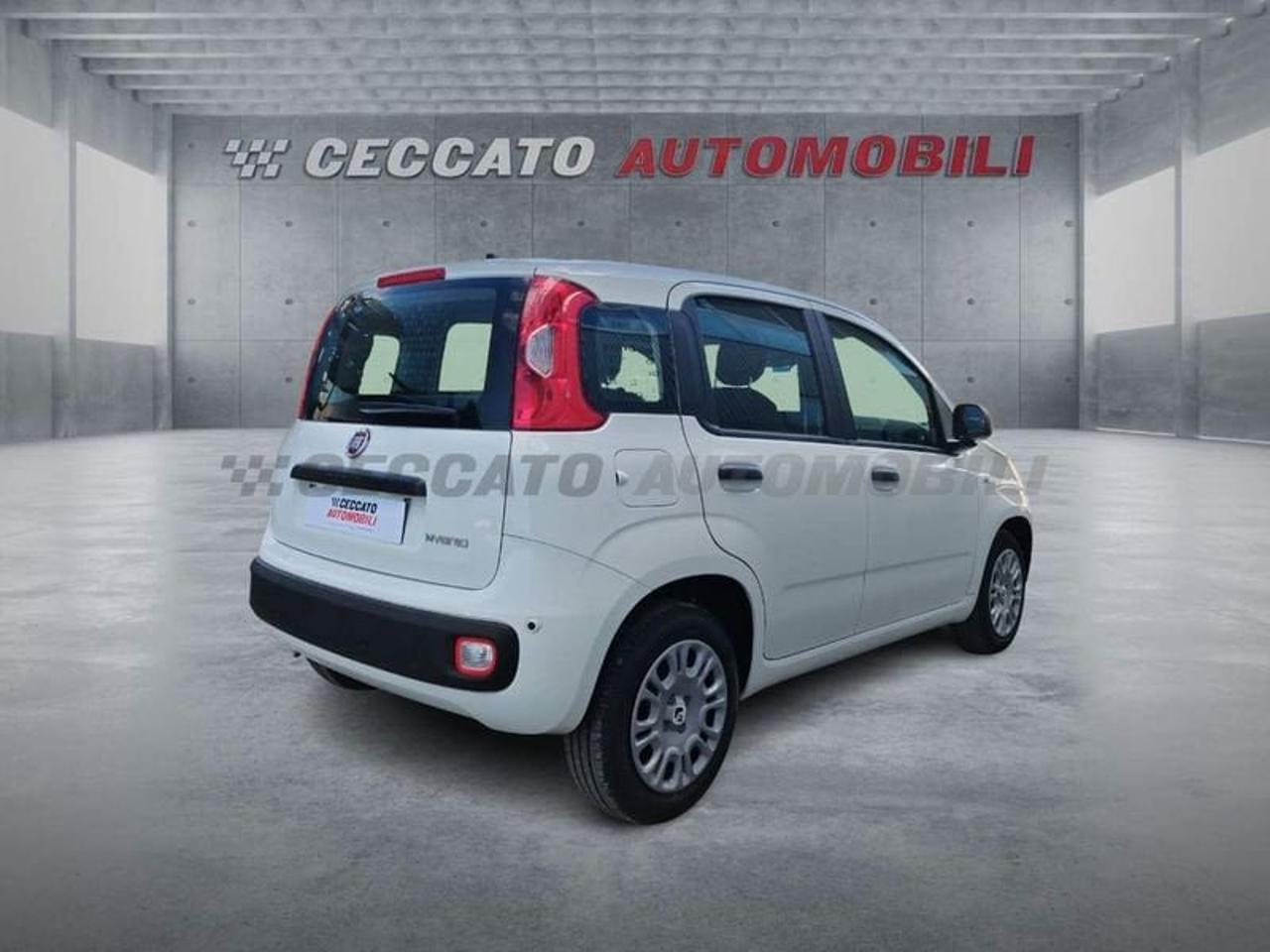 Fiat Fiat Panda usata 8