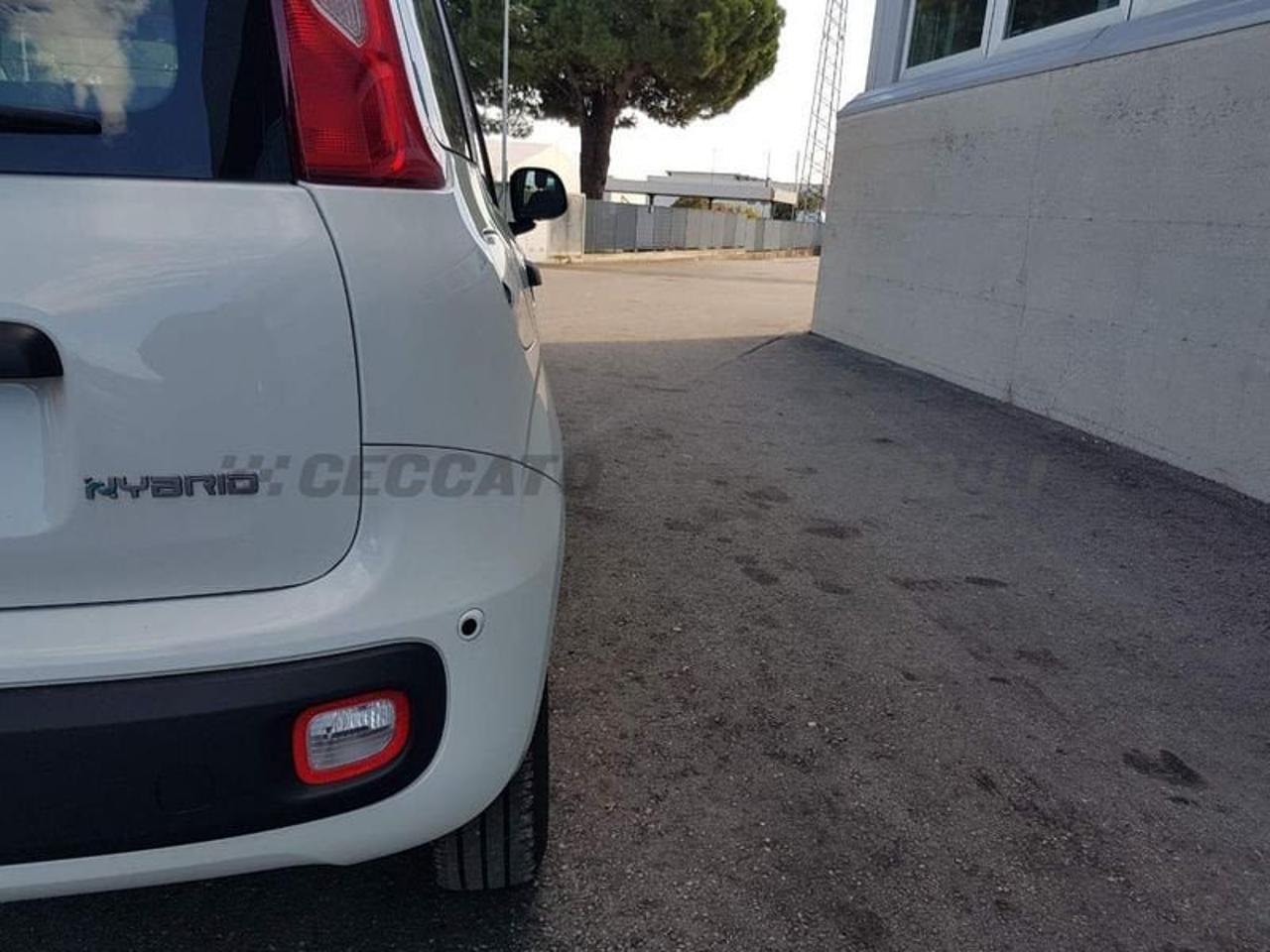 Fiat Fiat Panda usata 10