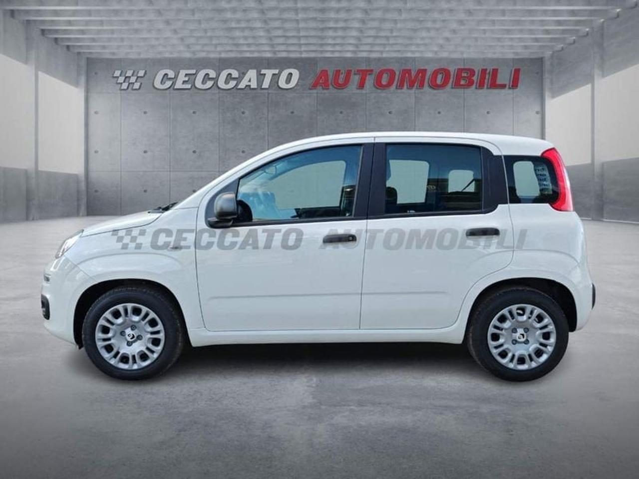 Fiat Fiat Panda usata 11