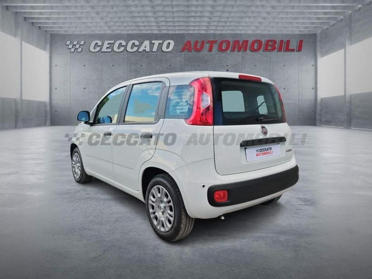 Fiat Fiat Panda usata 16