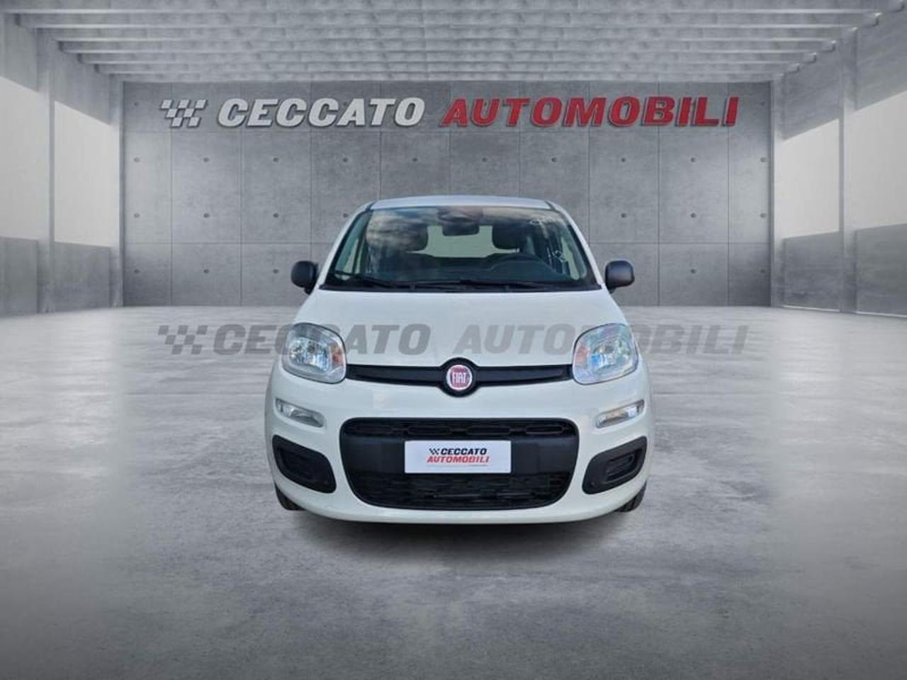 Fiat Fiat Panda usata 17