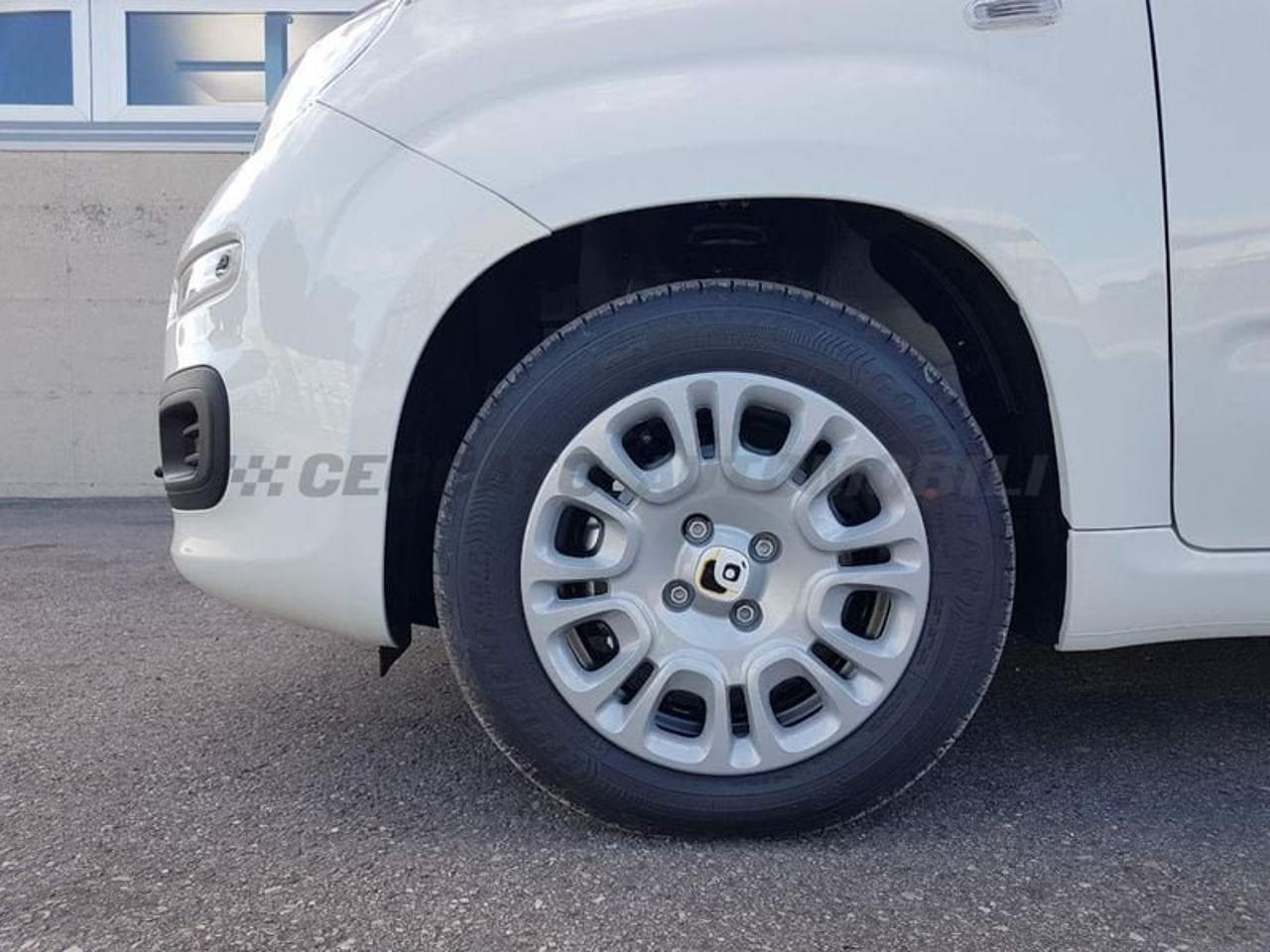 Fiat Fiat Panda usata 19