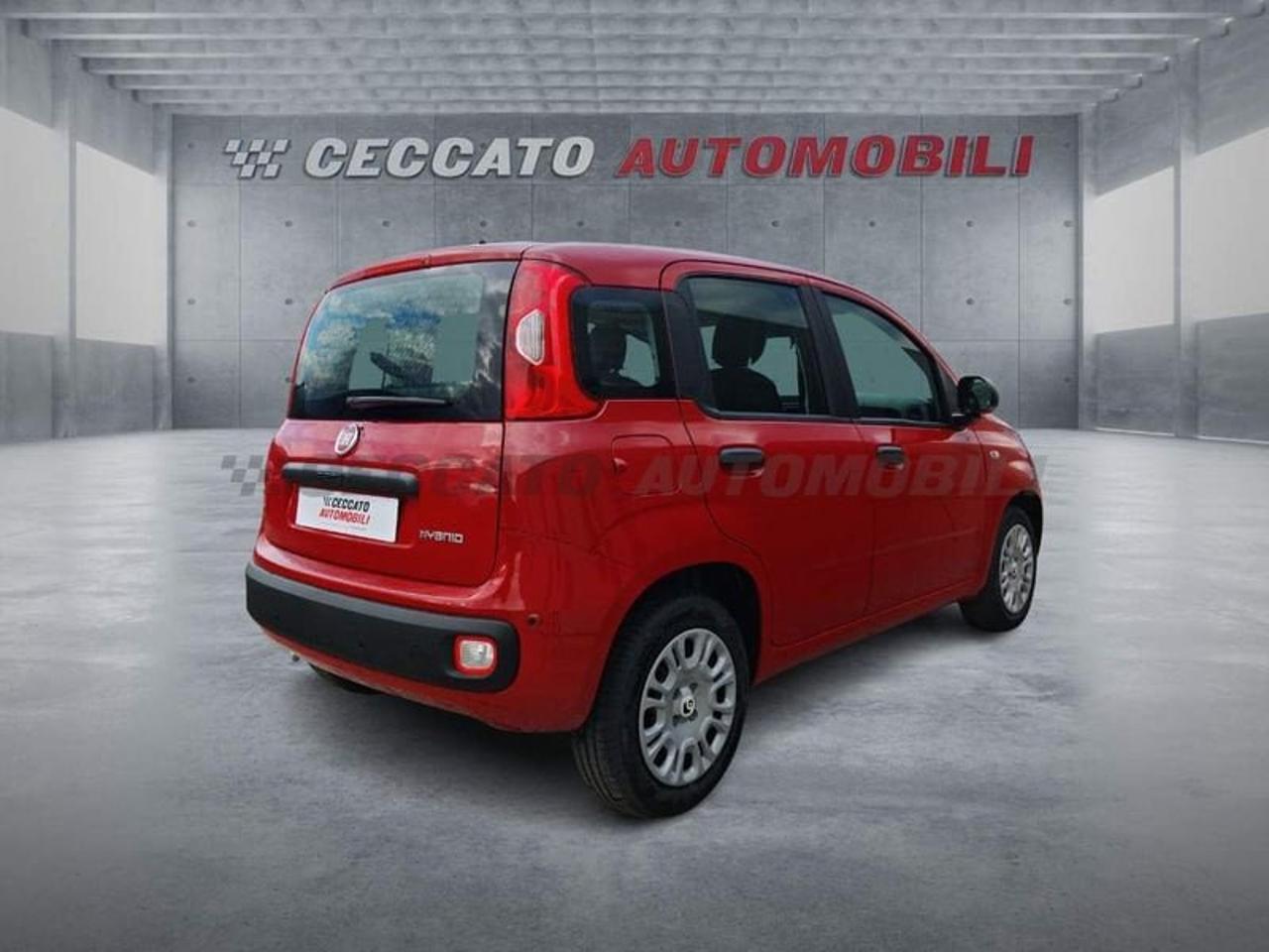Fiat Fiat Panda usata 8