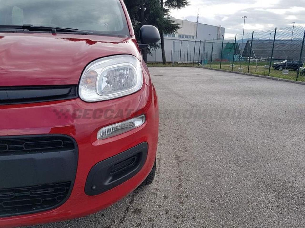 Fiat Fiat Panda usata 9