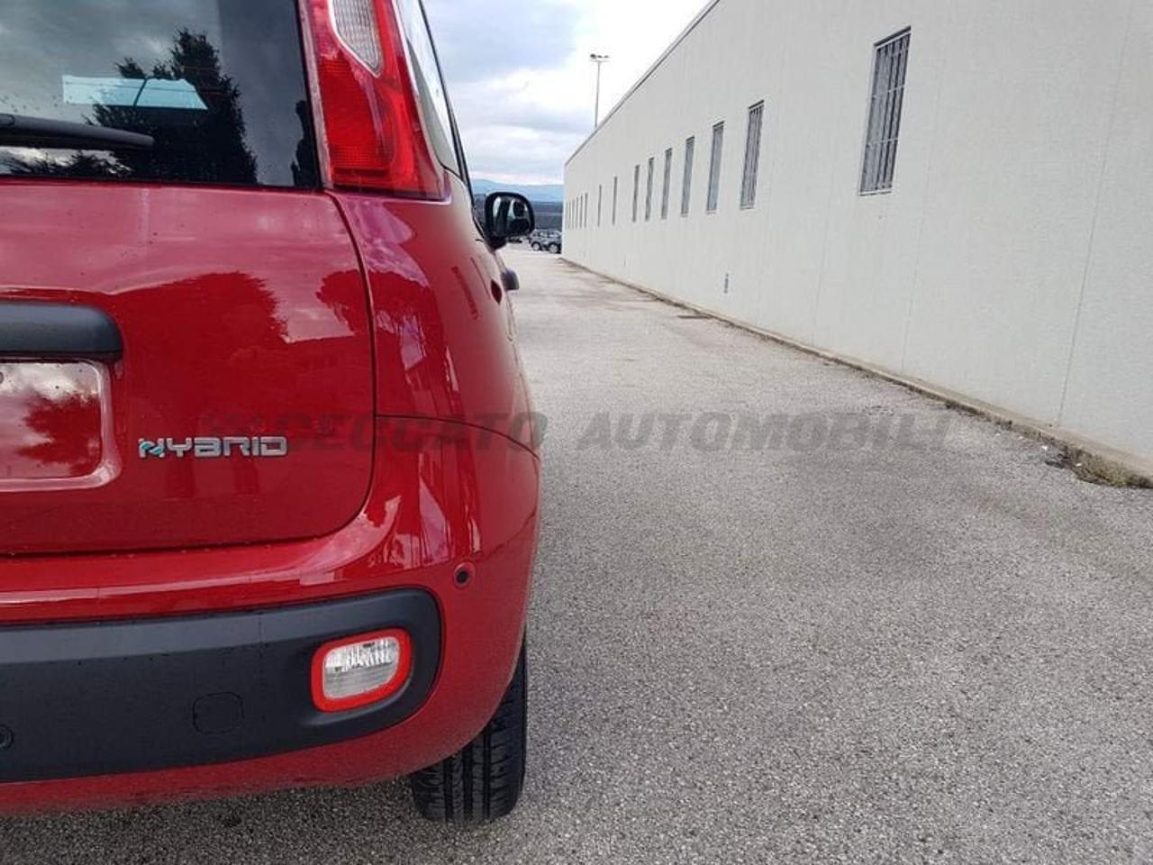 Fiat Fiat Panda usata 10