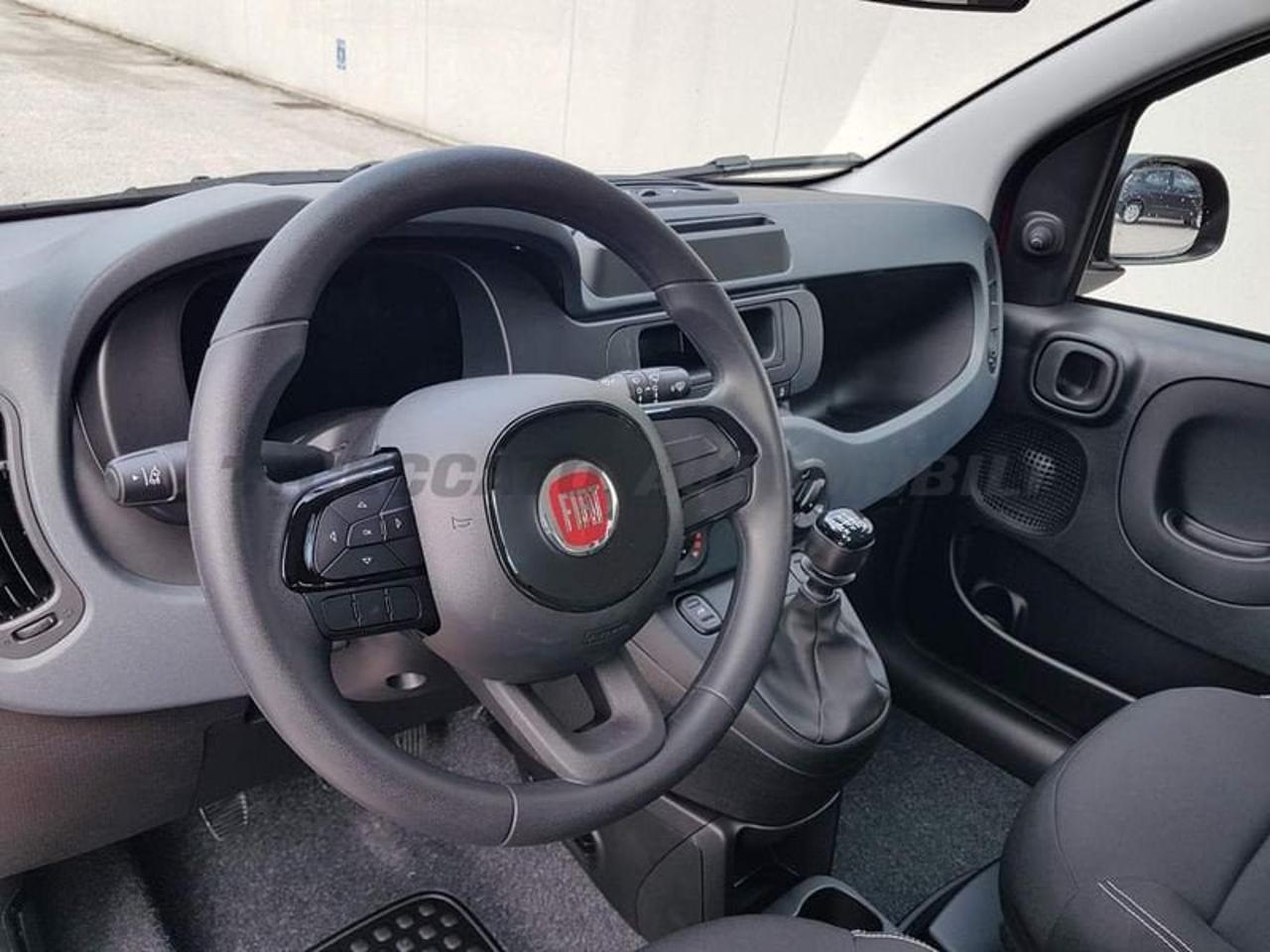 Fiat Fiat Panda usata 12