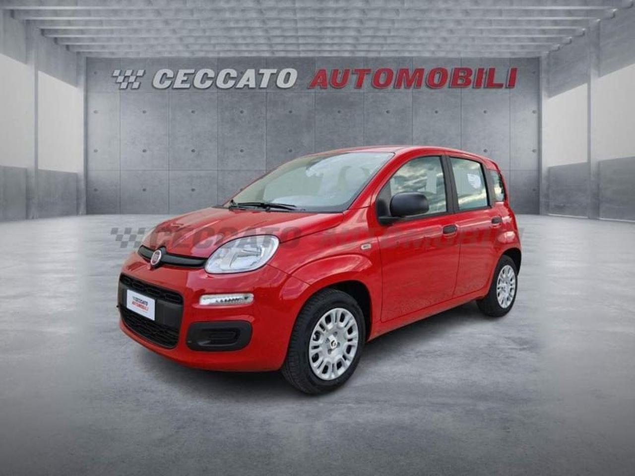 Fiat Fiat Panda usata 16