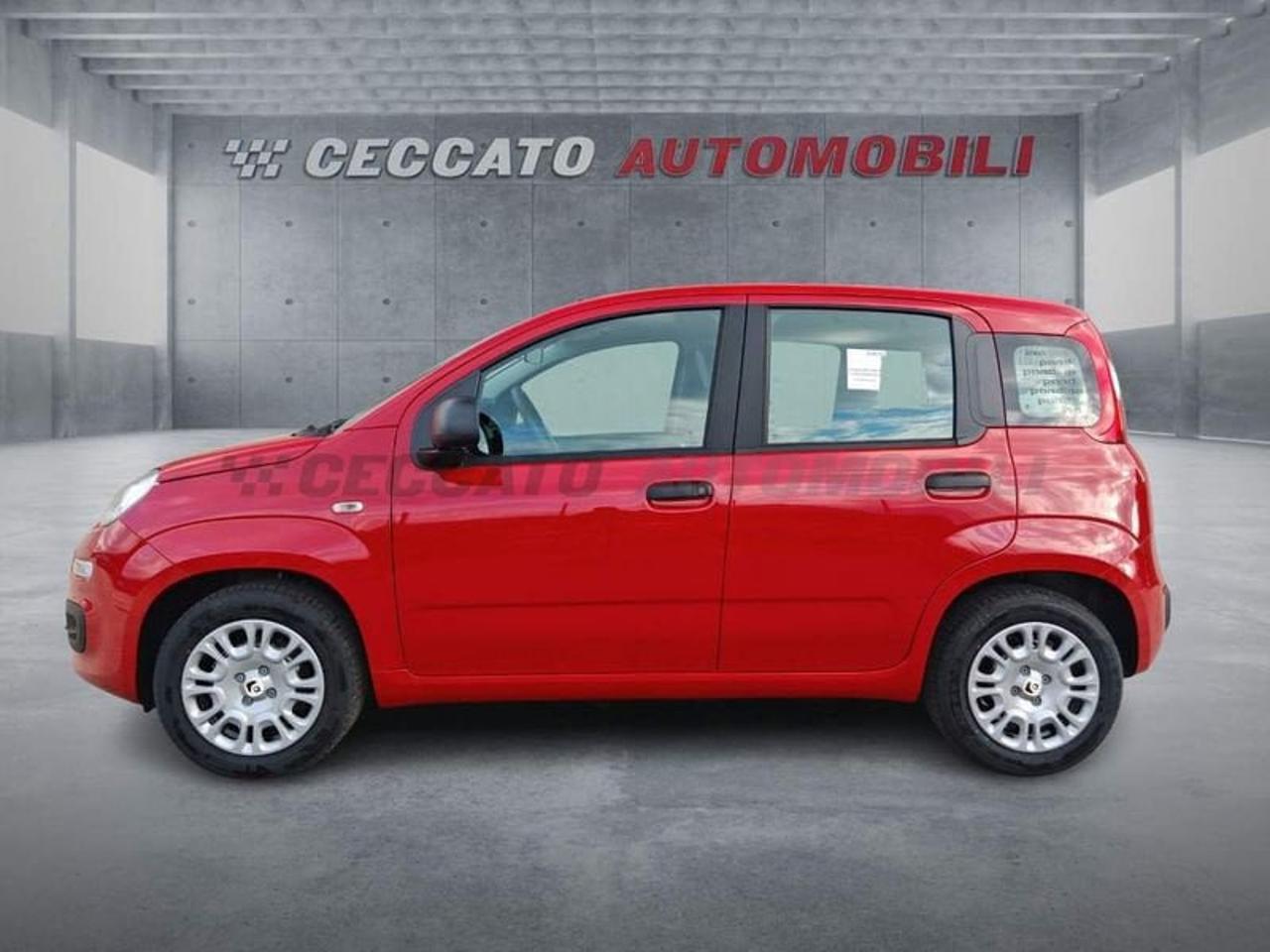 Fiat Fiat Panda usata 17